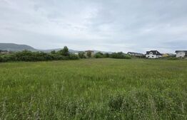 Teren intravilan, 48,3 ari zona Valea Rusului,