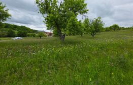 Teren intravilan, 34 ari intravilan, zona Unirea 