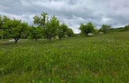 Teren intravilan, 34 ari intravilan, zona Unirea 