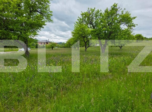 Teren de vânzare Nord - 185243TV | BLITZ Bistriţa | Poza5