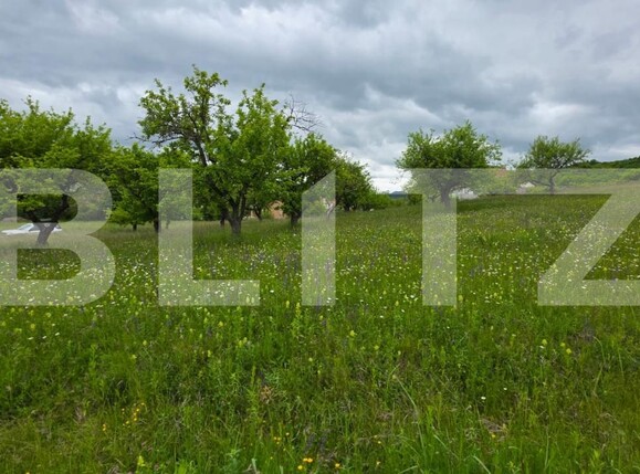 Teren de vânzare Nord - 185243TV | BLITZ Bistriţa | Poza2