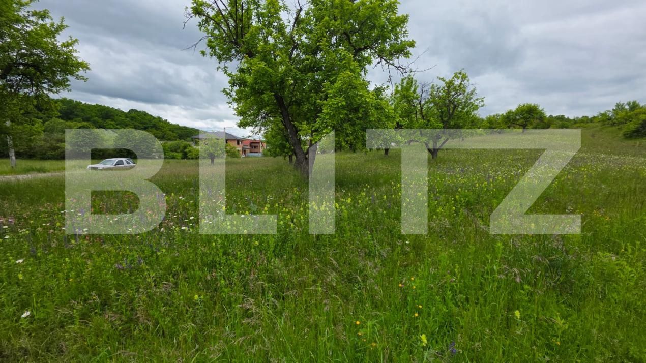 Teren de vânzare Nord - 185243TV | BLITZ Bistriţa | Poza3