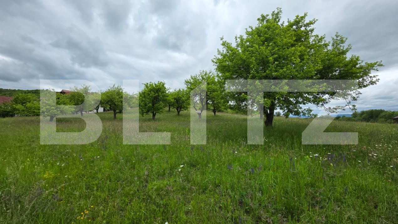 Teren de vânzare Nord - 185243TV | BLITZ Bistriţa | Poza8