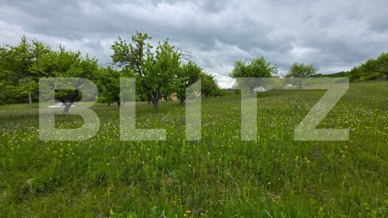 Teren de vânzare Nord - 185243TV | BLITZ Bistriţa | Poza2