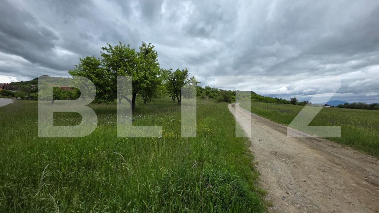 Teren de vânzare Nord - 185243TV | BLITZ Bistriţa | Poza6