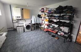 Casa de vanzare, 6 camere, 340 mp, cu 22 arii de teren, zona Viisoara 