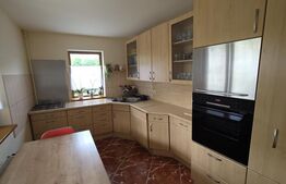 Casa de vanzare, 6 camere, 340 mp, cu 22 arii de teren, zona Viisoara 