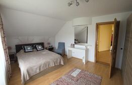 Casa de vanzare, 6 camere, 340 mp, cu 22 arii de teren, zona Viisoara 