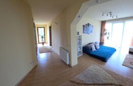 Casa de vanzare, 6 camere, 340 mp, cu 22 arii de teren, zona Viisoara 