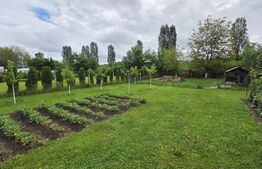 Casa de vanzare, 6 camere, 340 mp, cu 22 arii de teren, zona Viisoara 