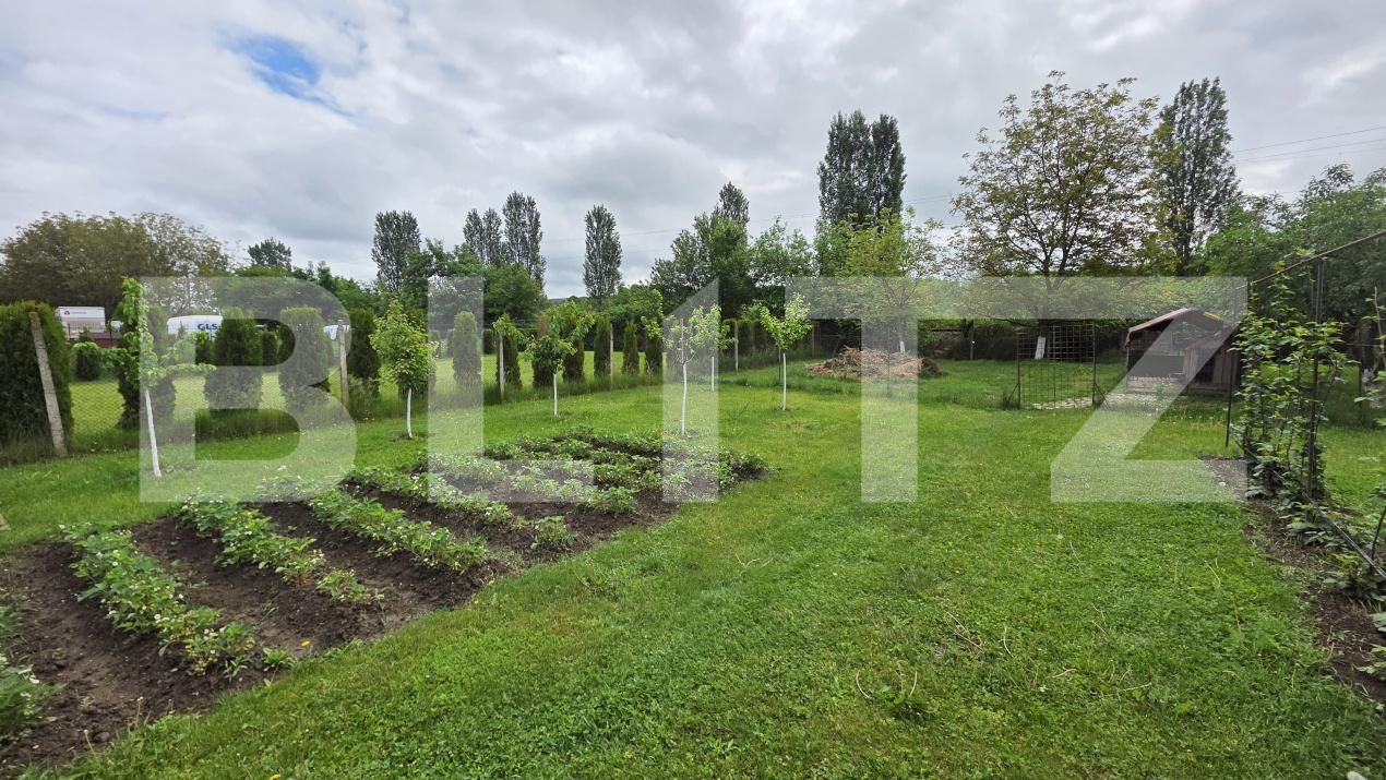 Casa de vânzare 6 camere Viișoara - 185244CV | BLITZ Bistriţa | Poza19