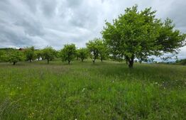 Teren intravilan, toate utilitatile, 9 ari intravilan, zona Unirea 