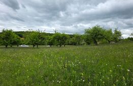 Teren intravilan, toate utilitatile, 9 ari intravilan, zona Unirea 