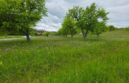 Teren intravilan, toate utilitatile, 9 ari intravilan, zona Unirea 