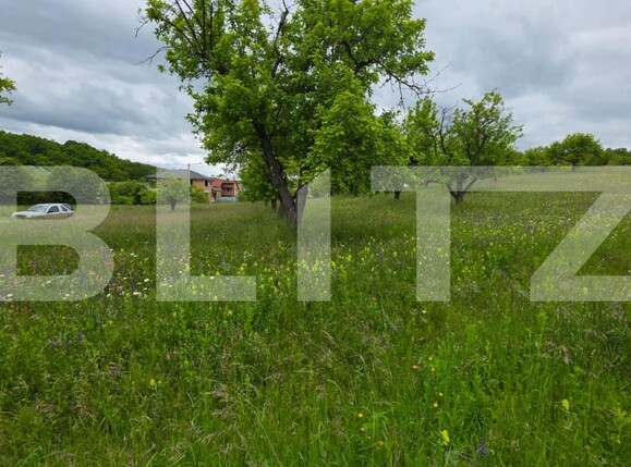 Teren de vânzare Nord - 185339TV | BLITZ Bistriţa | Poza3
