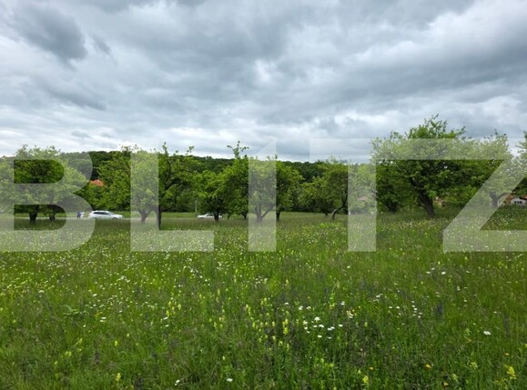 Teren de vânzare Nord - 185339TV | BLITZ Bistriţa | Poza7