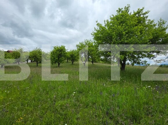 Teren de vânzare Nord - 185339TV | BLITZ Bistriţa | Poza8