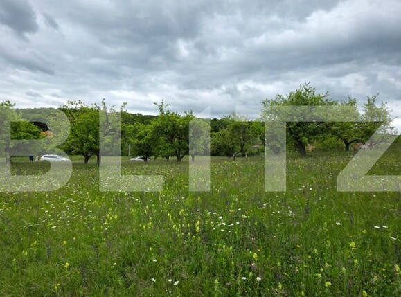 Teren de vânzare Nord - 185339TV | BLITZ Bistriţa | Poza1