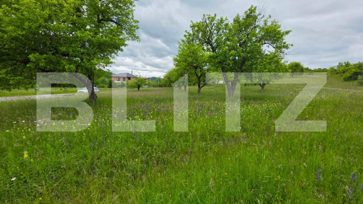 Teren de vânzare Nord - 185339TV | BLITZ Bistriţa | Poza5