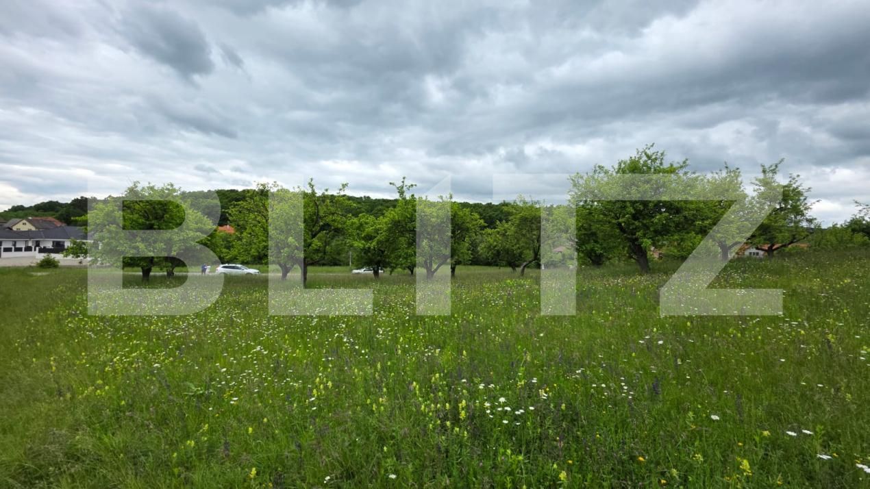 Teren de vânzare Nord - 185339TV | BLITZ Bistriţa | Poza7