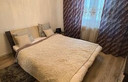 Apartament 2 camere, strada Plopilor