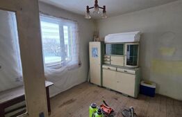 Casă cu teren 32 ari – Viile Tecii, la 30 km de Bistrița