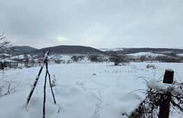 Casă cu teren 32 ari – Viile Tecii, la 30 km de Bistrița