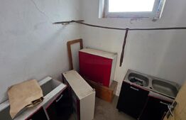 Casă cu teren 32 ari – Viile Tecii, la 30 km de Bistrița