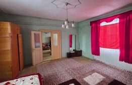 Casă cu teren 32 ari – Viile Tecii, la 30 km de Bistrița