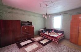 Casă cu teren 32 ari – Viile Tecii, la 30 km de Bistrița