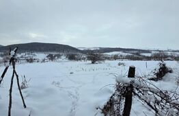 Casă cu teren 32 ari – Viile Tecii, la 30 km de Bistrița