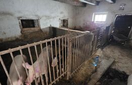 Casă cu teren 32 ari – Viile Tecii, la 30 km de Bistrița