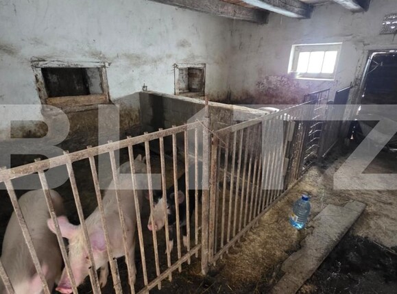 Casa de vânzare 2 camere Periferie - 185657CV | BLITZ Bistriţa | Poza19