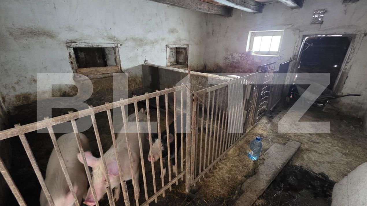 Casa de vânzare 2 camere Periferie - 185657CV | BLITZ Bistriţa | Poza19