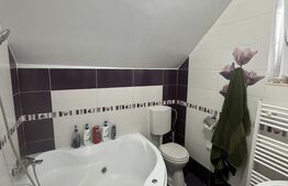 Duplex de vânzare, 110 mp – Unirea