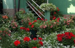 Casă de vânzare | Zona Independenței | 123 mp utili | Beci pe toată suprafața | 