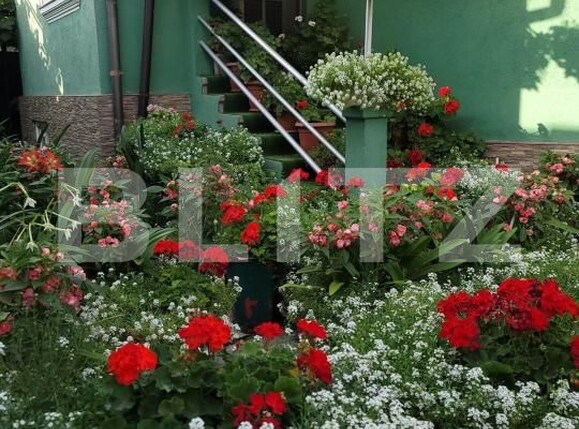 Casa de vânzare 4 camere Central - 185731CV | BLITZ Bistriţa | Poza3