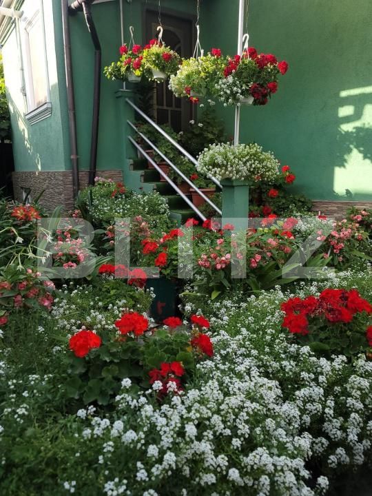 Casa de vânzare 4 camere Central - 185731CV | BLITZ Bistriţa | Poza3