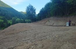 Teren de vanzare, 10.000 mp - Bistrita Bargaului, zona turistica