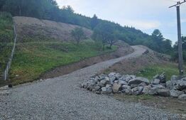 Teren de vanzare, 10.000 mp - Bistrita Bargaului, zona turistica