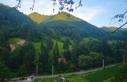 Teren de vanzare, 10.000 mp - Bistrita Bargaului, zona turistica