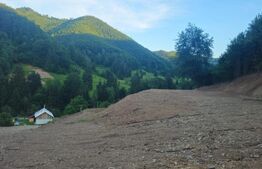 Teren de vanzare, 10.000 mp - Bistrita Bargaului, zona turistica