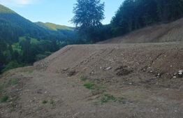 Teren de vanzare, 10.000 mp - Bistrita Bargaului, zona turistica