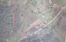 Teren de vanzare, 10.000 mp - Bistrita Bargaului, zona turistica