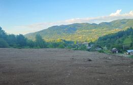 Teren de vanzare, 10.000 mp - Bistrita Bargaului, zona turistica