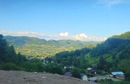 Teren de vanzare, 10.000 mp - Bistrita Bargaului, zona turistica