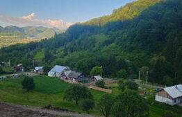 Teren de vanzare, 10.000 mp - Bistrita Bargaului, zona turistica