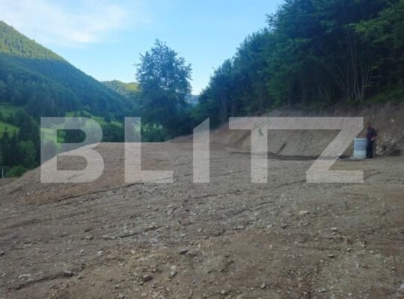Teren de vânzare Est - 186012TV | BLITZ Bistriţa | Poza6