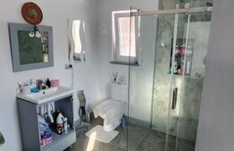 Casa de vanzare, 4 camere, 124 mp, in Arcalia