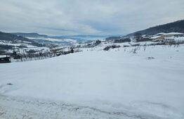 Teren extravilan Dealul Jelnei